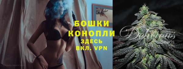 ешки Горнозаводск