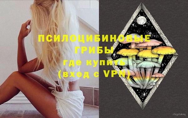 ешки Горнозаводск