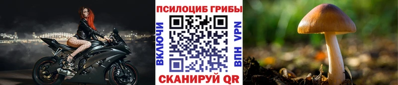 Галлюциногенные грибы MAGIC MUSHROOMS Куйбышев